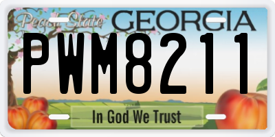 GA license plate PWM8211