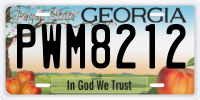 GA license plate PWM8212