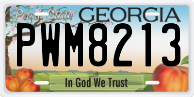 GA license plate PWM8213