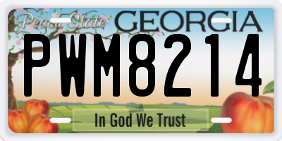 GA license plate PWM8214