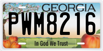 GA license plate PWM8216