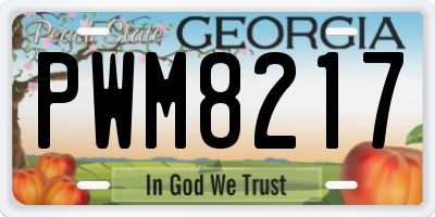 GA license plate PWM8217