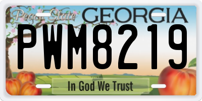 GA license plate PWM8219