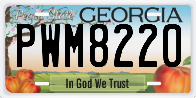 GA license plate PWM8220