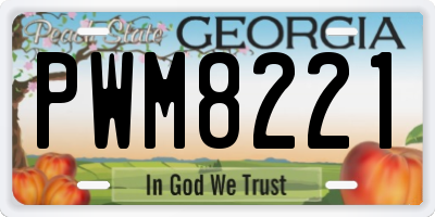 GA license plate PWM8221