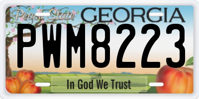 GA license plate PWM8223