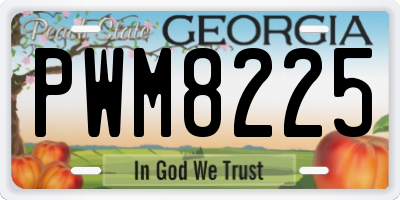 GA license plate PWM8225