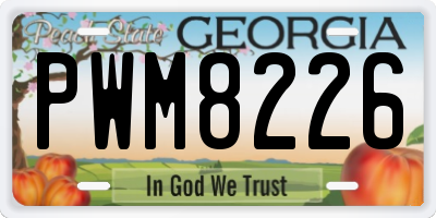 GA license plate PWM8226