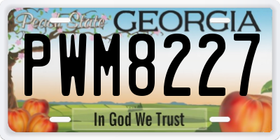 GA license plate PWM8227