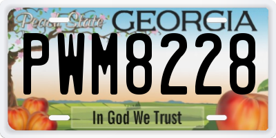 GA license plate PWM8228