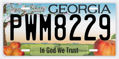 GA license plate PWM8229