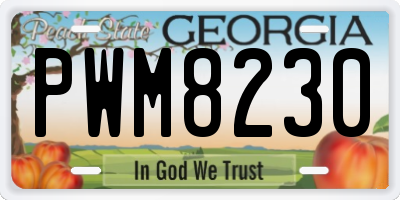 GA license plate PWM8230