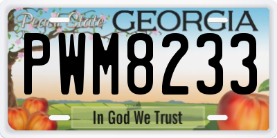 GA license plate PWM8233
