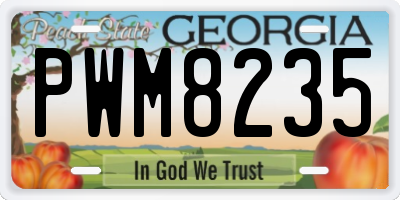 GA license plate PWM8235