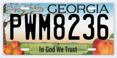 GA license plate PWM8236