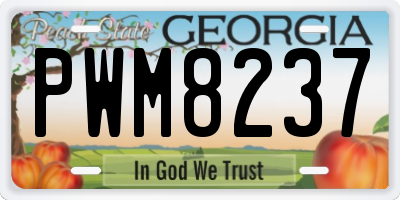 GA license plate PWM8237