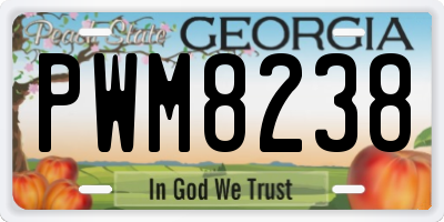 GA license plate PWM8238