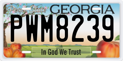 GA license plate PWM8239