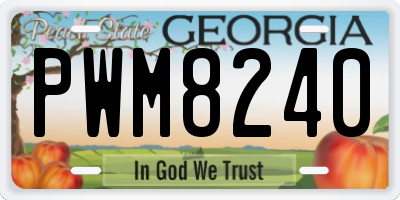 GA license plate PWM8240