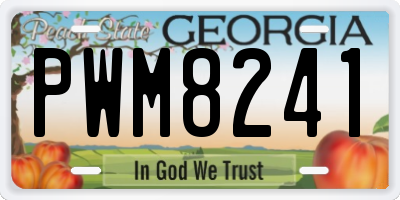 GA license plate PWM8241