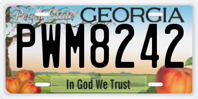GA license plate PWM8242