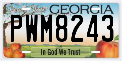 GA license plate PWM8243