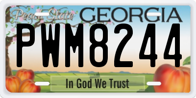 GA license plate PWM8244