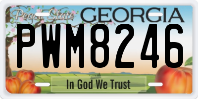 GA license plate PWM8246