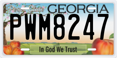 GA license plate PWM8247