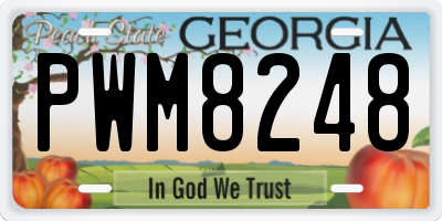 GA license plate PWM8248