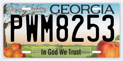 GA license plate PWM8253