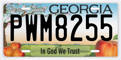 GA license plate PWM8255