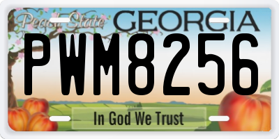 GA license plate PWM8256