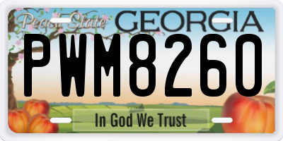 GA license plate PWM8260