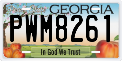 GA license plate PWM8261