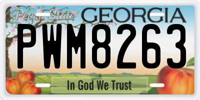 GA license plate PWM8263
