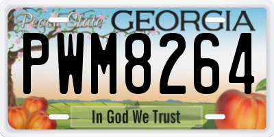GA license plate PWM8264