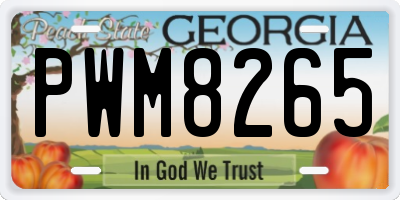 GA license plate PWM8265