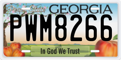 GA license plate PWM8266