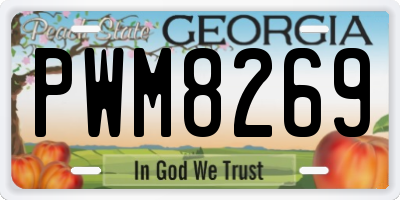GA license plate PWM8269