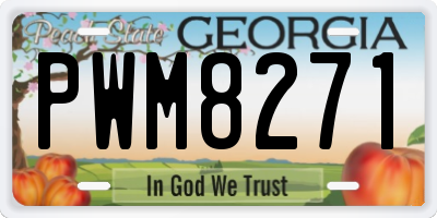 GA license plate PWM8271
