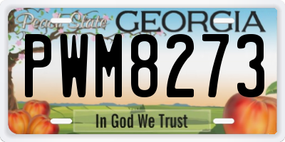 GA license plate PWM8273
