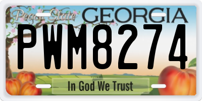 GA license plate PWM8274