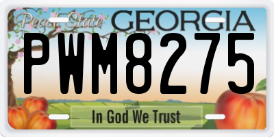 GA license plate PWM8275