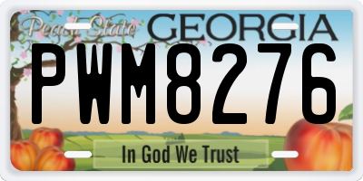 GA license plate PWM8276