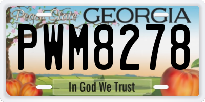GA license plate PWM8278