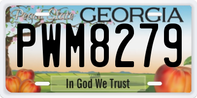GA license plate PWM8279