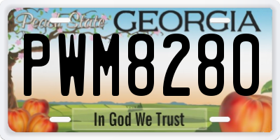 GA license plate PWM8280