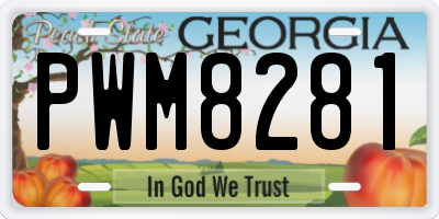 GA license plate PWM8281