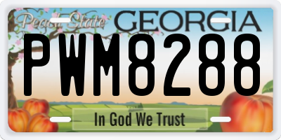 GA license plate PWM8288